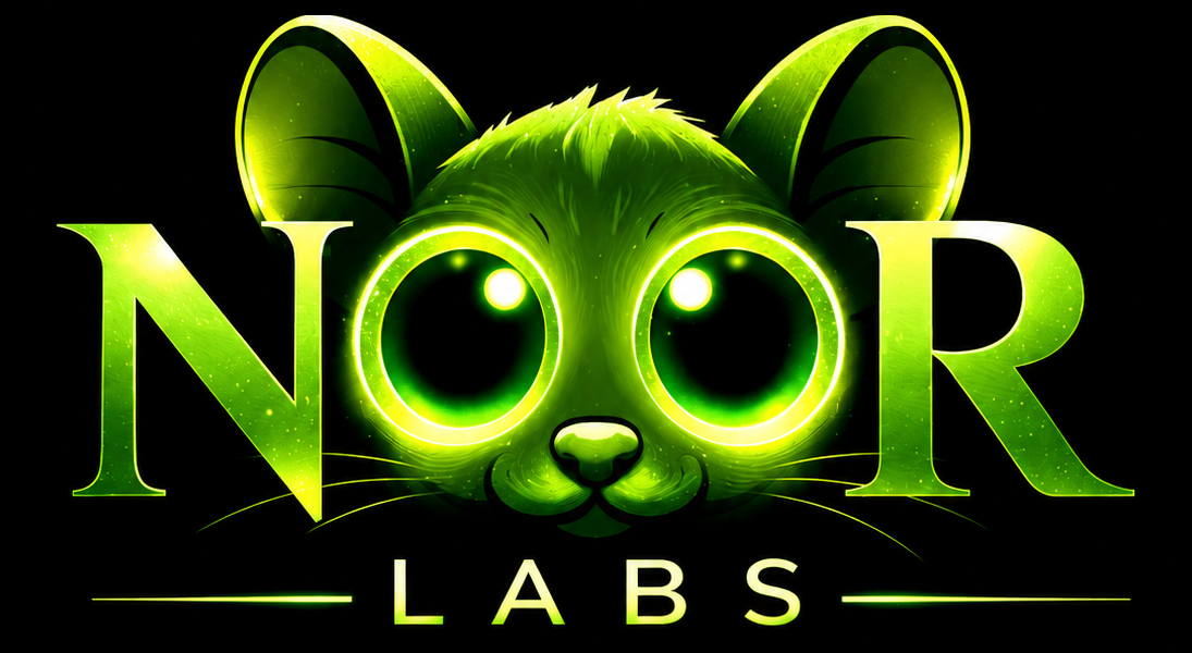 Noor Labs